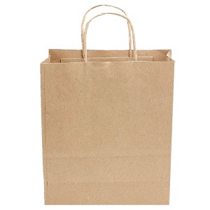 Paper bags with twisted handle